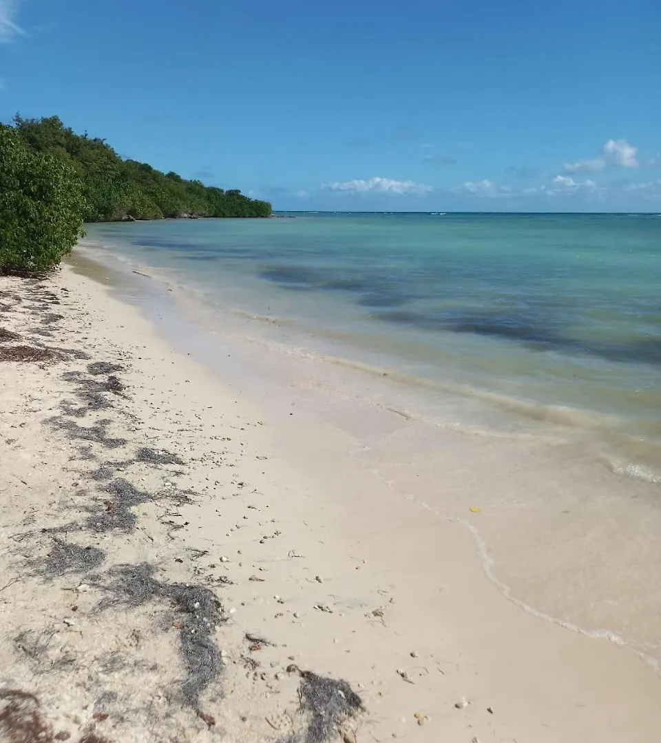 Le Neem Hotel Saint-Francois  Guest house Saint-Francois (Grande-Terre)