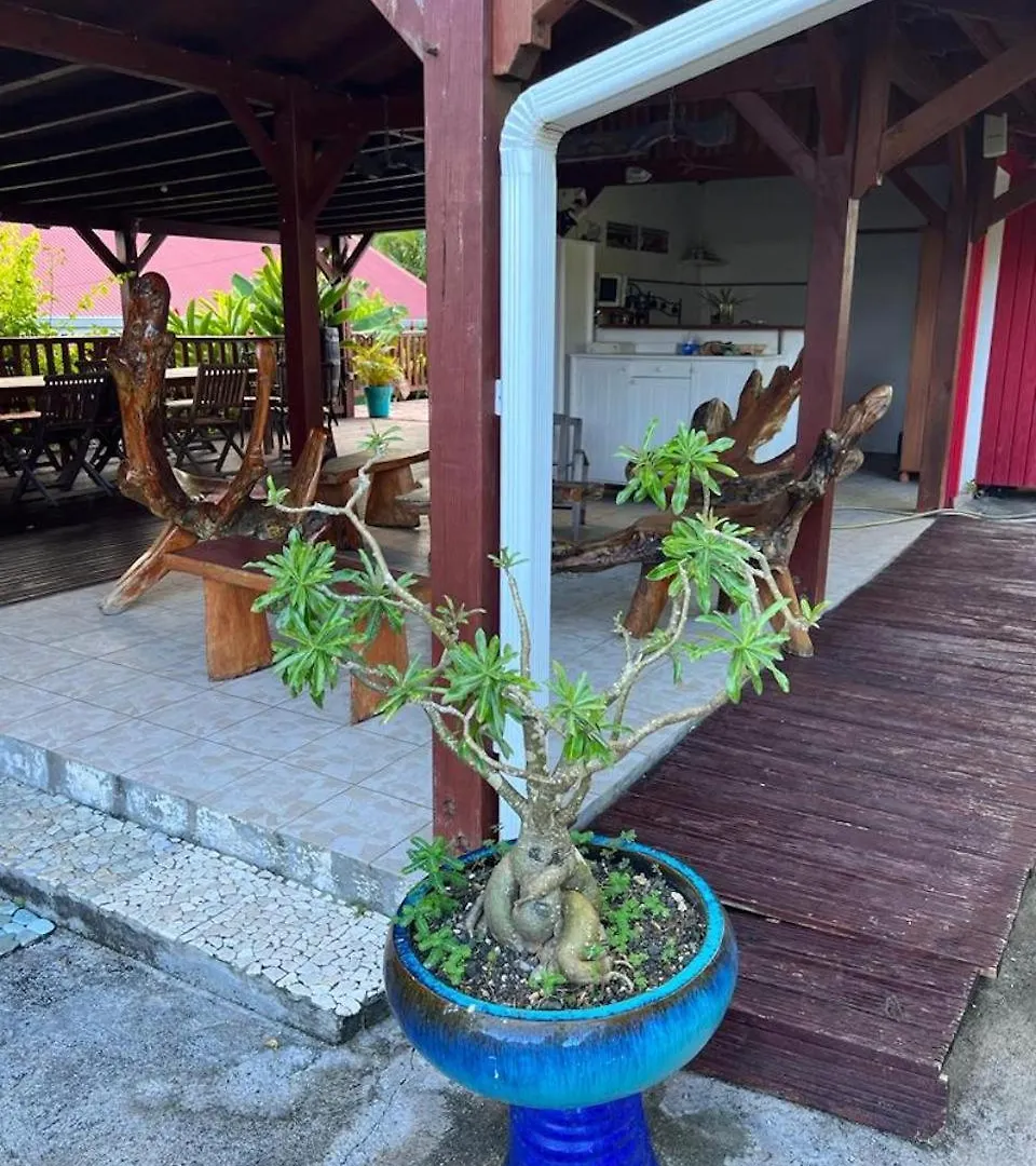 Le Neem Hotel Saint-Francois  Saint-Francois (Grande-Terre)